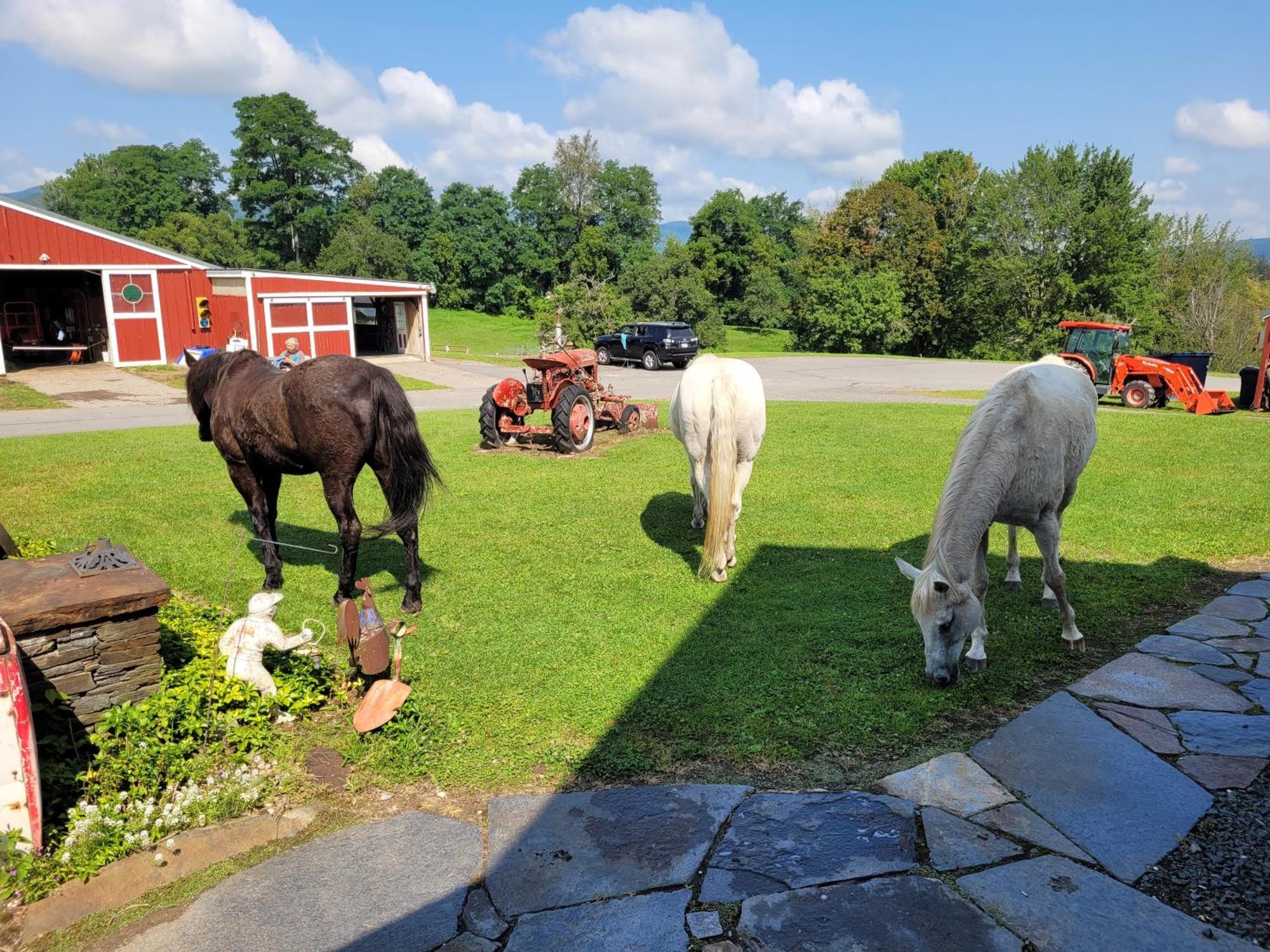 Clover Hill Farm & Country Inn Williamstown Exterior foto