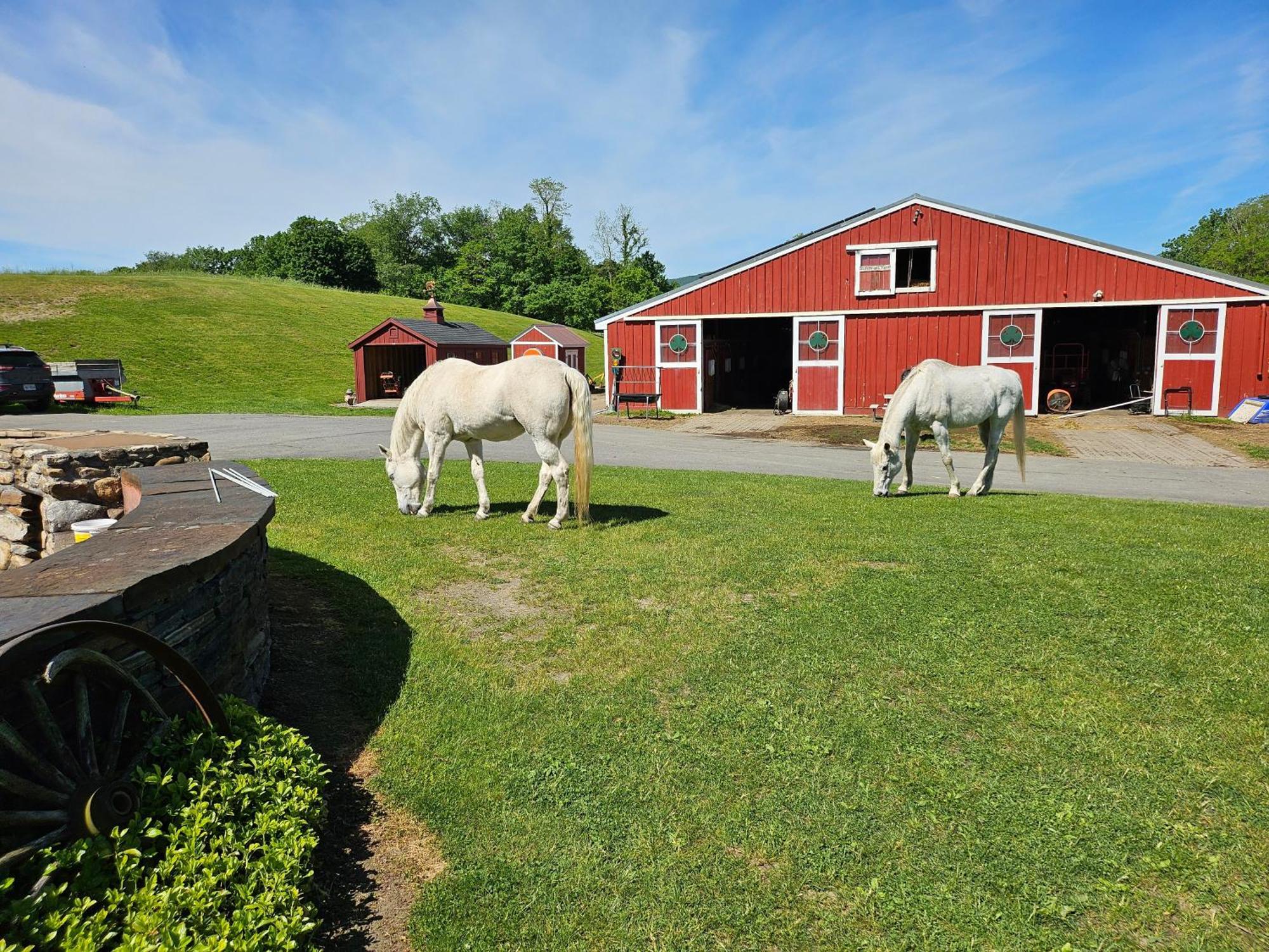 Clover Hill Farm & Country Inn Williamstown Exterior foto